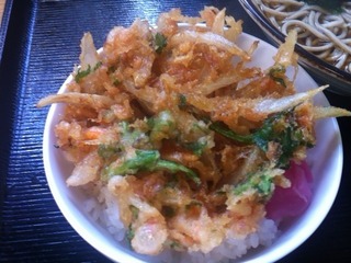 ミニ天丼