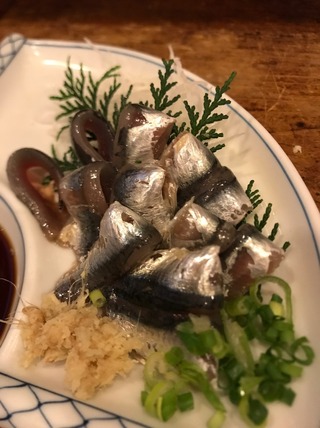 生イワシ