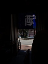 IMG_1556