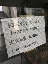 未蕾