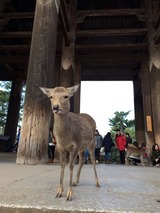 東大寺