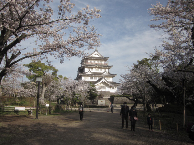 花見 新 しょぺのblog 花見 新 しょぺのblog