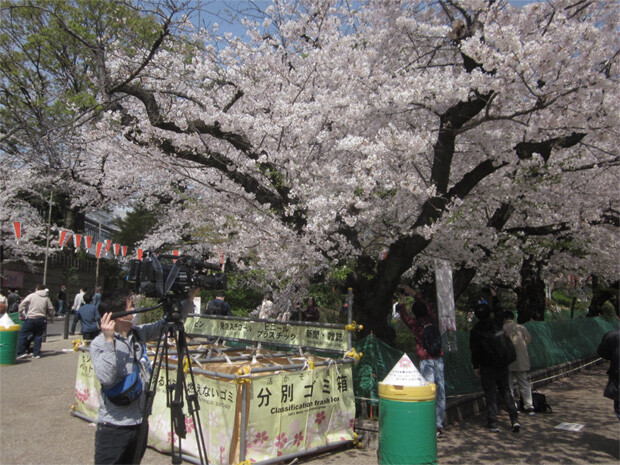 花見 新 しょぺのblog 花見 新 しょぺのblog