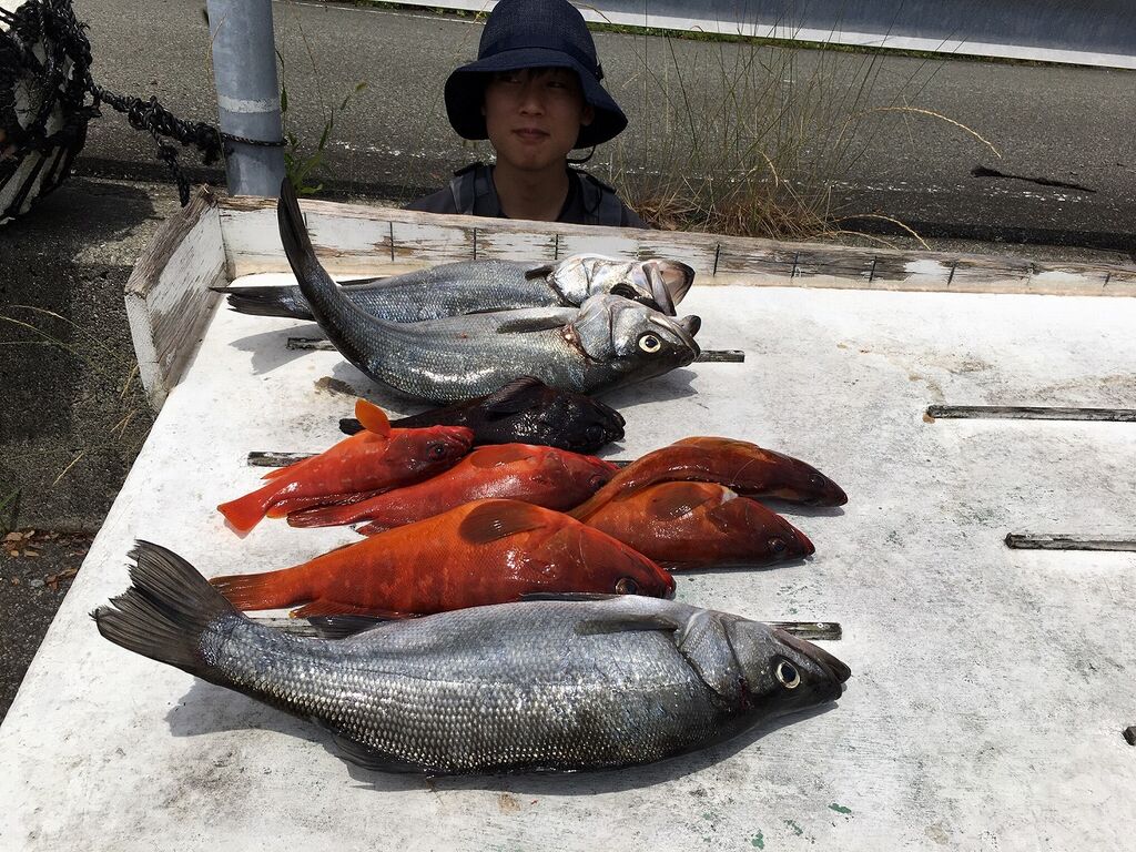 6月日 土 の主な釣果 串本町紀伊大島 須江しょらさん渡船の釣果情報 和歌山県 通夜島 須江崎
