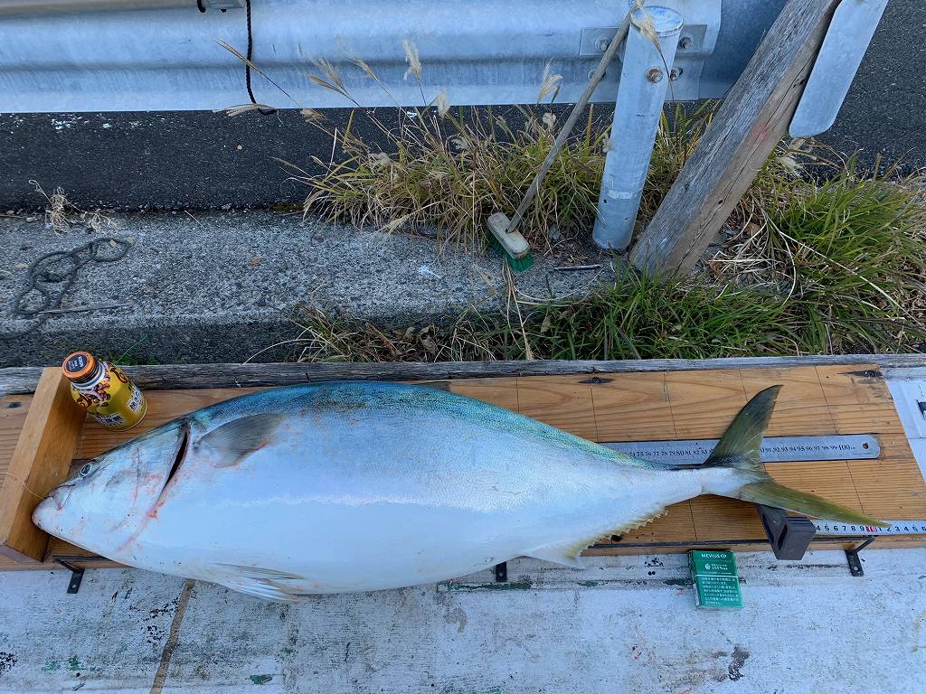 【BIGワン出ましたー♪】ブリ 102.8㎝ 14 kg : 串本町紀伊大島、須江しょらさん渡船カセ釣りの釣果情報（和歌山県くしもと）