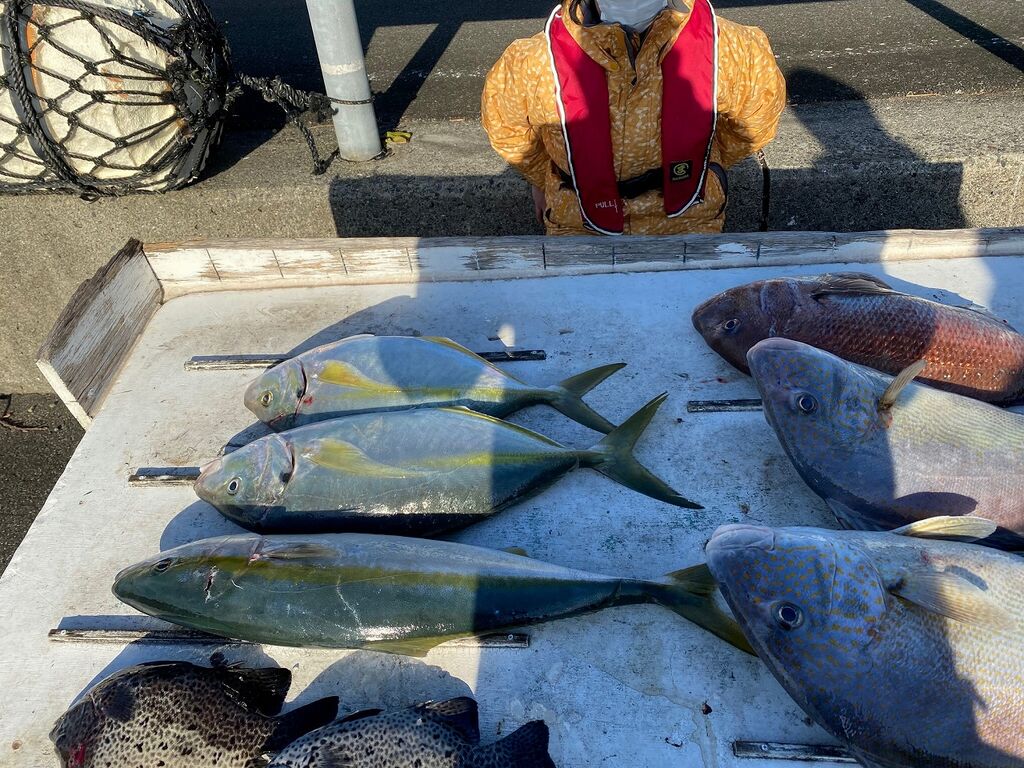 グレ 串本町紀伊大島 須江しょらさん渡船の釣果情報 和歌山県 通夜島 須江崎 グレ 串本町紀伊大島 須江しょらさん渡船の釣果情報 和歌山県 通夜島 須江崎