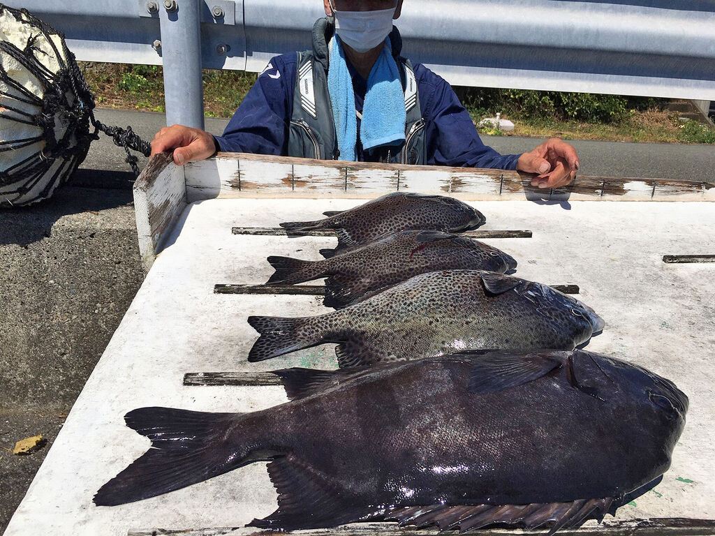 8月15日 土 の主な釣果 串本町紀伊大島 須江しょらさん渡船の釣果情報 和歌山県 通夜島 須江崎 8月15日 土 の主な釣果 串本町紀伊大島 須江しょらさん渡船の釣果情報 和歌山県 通夜島 須江崎