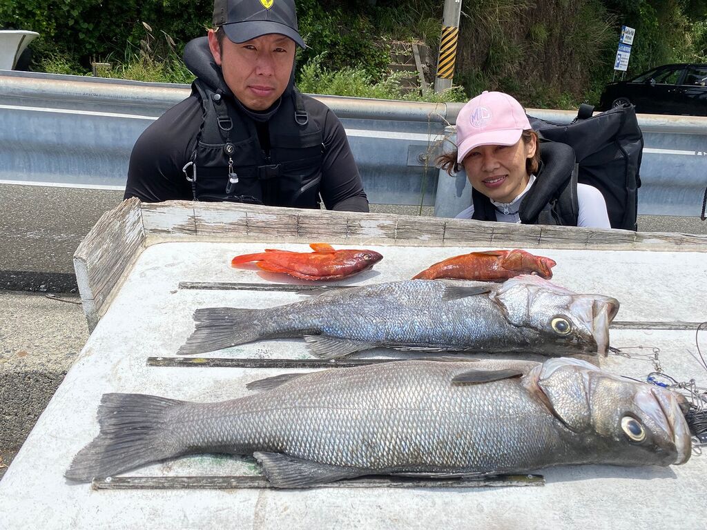 5月28日 土 の主な釣果 串本町紀伊大島 須江しょらさん渡船の釣果情報 和歌山県 通夜島 須江崎