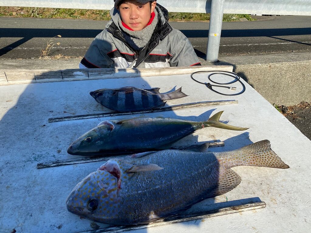 12月日 日 の主な釣果 串本町紀伊大島 須江しょらさん渡船の釣果情報 和歌山県 通夜島 須江崎 12月日 日 の主な釣果 串本町紀伊大島 須江しょらさん渡船の釣果情報 和歌山県 通夜島 須江崎