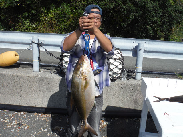 紀伊大島沖 しょらさんジギング船でカンパチ83cm メジロ73cm 82cm3本など 串本町 紀伊大島 須江しょらさん渡船の釣果情報 和歌山県 通夜島 須江崎 紀伊大島沖 しょらさんジギング船でカンパチ83cm メジロ73cm 82cm3本など 串本町 紀伊大島 須江しょらさん渡船の釣果情報 和歌山県 通夜島 須江崎