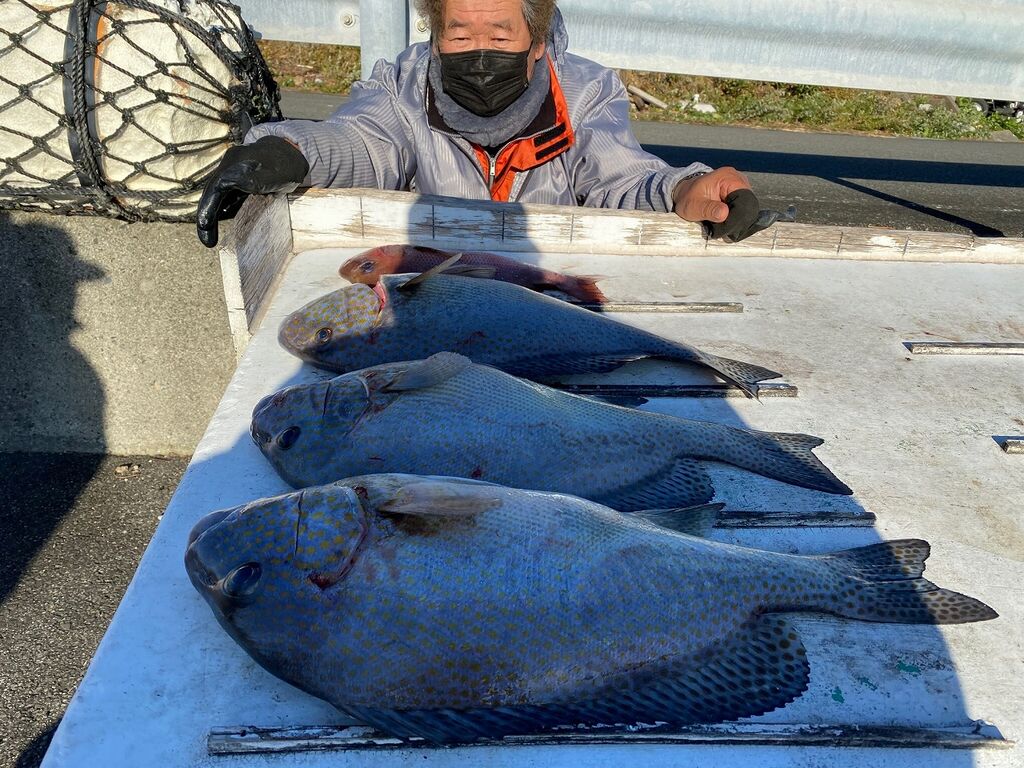 12月日 日 の主な釣果 串本町紀伊大島 須江しょらさん渡船の釣果情報 和歌山県 通夜島 須江崎 12月日 日 の主な釣果 串本町紀伊大島 須江しょらさん渡船の釣果情報 和歌山県 通夜島 須江崎