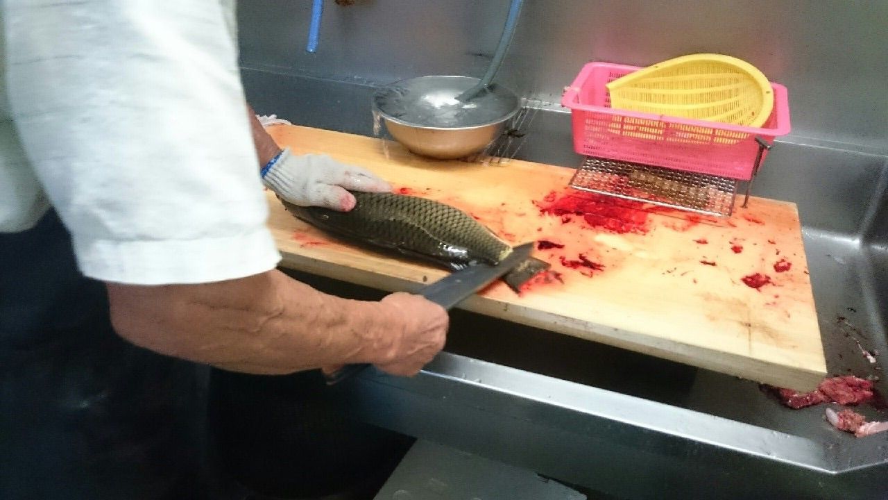 鯉という魚 しょたもんの人生再構築 鯉という魚 しょたもんの人生再構築