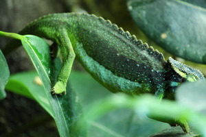 IMG_0352