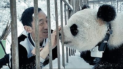 02パンダのすごい