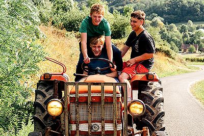 10ホーリーカウ