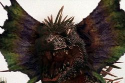 新 アコースティックギター生涯の1本 06年05月02日