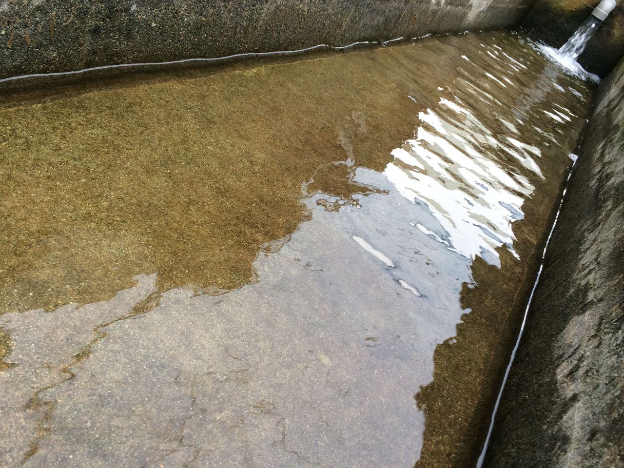 池の作り方 仁平養魚場 Laboratory 池の作り方 仁平養魚場 Laboratory