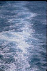 ふらり道草 季節の往来 詩歌 Livedoor Blog ブログ