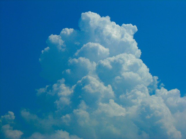 丹波太郎の向こうに ふらり道草 季節の往来