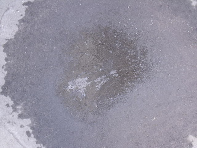 薄氷は春の呼ぶ華か ふらり道草 季節の往来 薄氷は春の呼ぶ華か ふらり道草 季節の往来