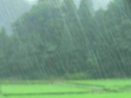 夕立は白雨にして喜雨か』 : ふらり道草―季節の往来―