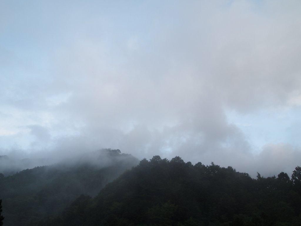 白雨にして喜雨の夕立』 : ふらり道草―季節の往来―