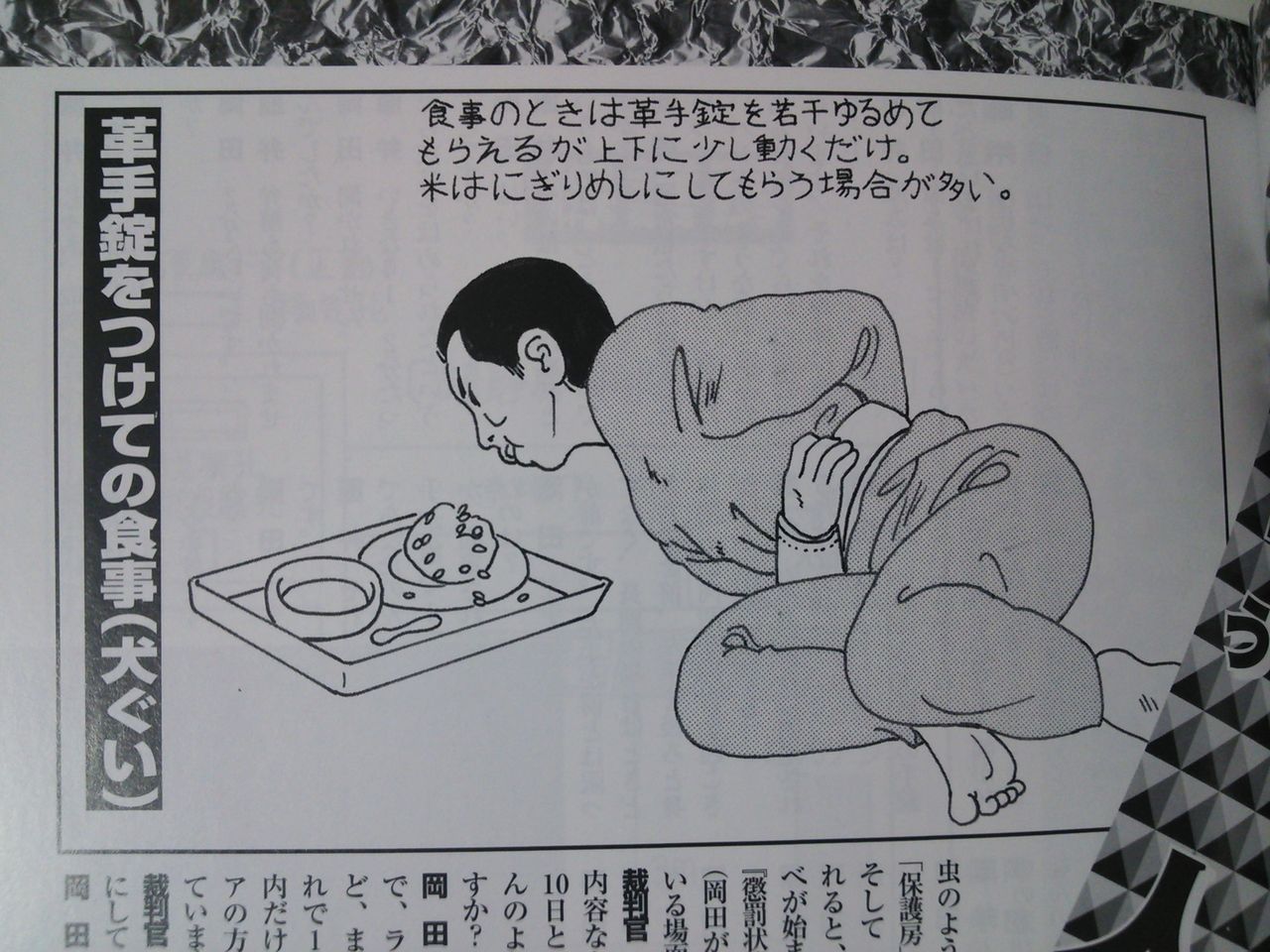 身体検査の日々2015年06月ガチャリと手錠をかける特殊戒具革手錠での犬食い氏名罪名確認ケツ検査避けられないカンカン踊り防声具と革手錠という戒具少年院内での移動「両手で肛門を両側に広げよ」退廷時の手錠