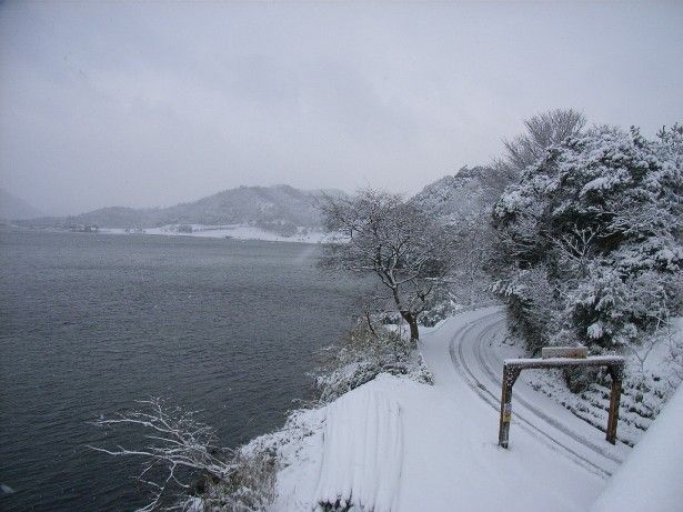 ソース画像を表示