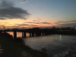 iPhone 6_1