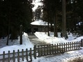 IMG_1212