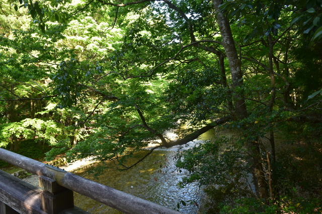 DSC_0885
