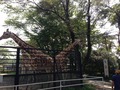 IMG_5990