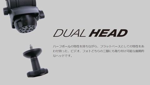 DualHead