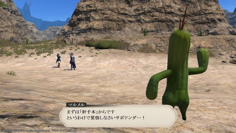 ffxiv_20190119_195823_947