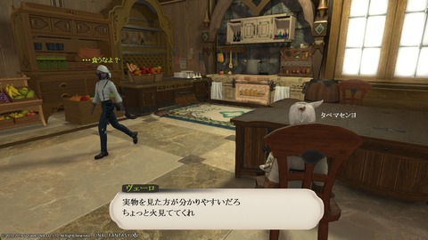 ffxiv_20190119_174052_729
