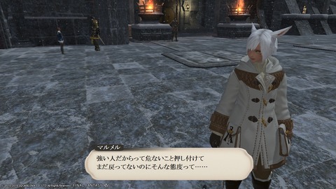 ffxiv_20190320_215648_031