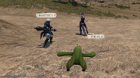 ffxiv_20190119_220634_133