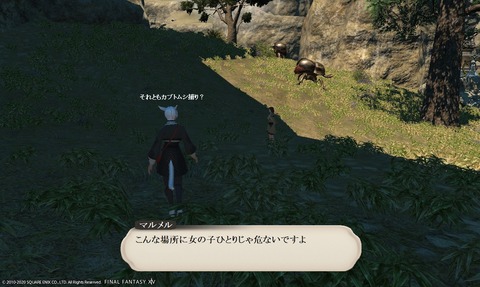 ffxiv_20200606_151506_621