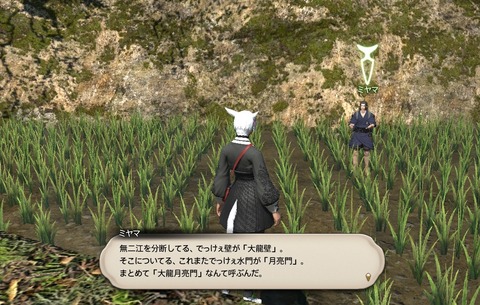 ffxiv_20200606_150308_977