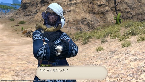 ffxiv_20190119_195607_293
