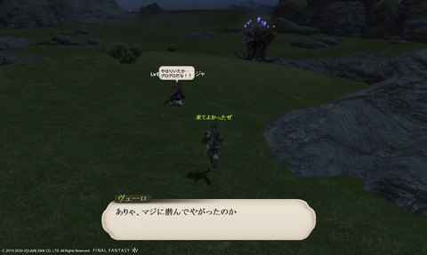ffxiv_20200626_195627_863