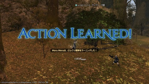 ffxiv_20190119_223041_056
