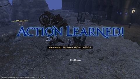 ffxiv_20190119_222717_1001