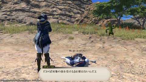 ffxiv_20190119_200129_680