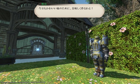 ffxiv_20200404_221407_230