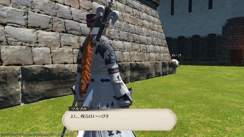 ffxiv_20200725_000032_088