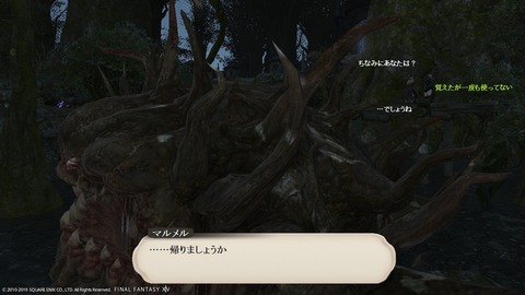 ffxiv_20190119_223728_641