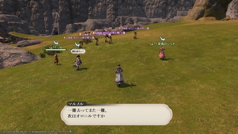 ffxiv_20200905_080915_230 (3)