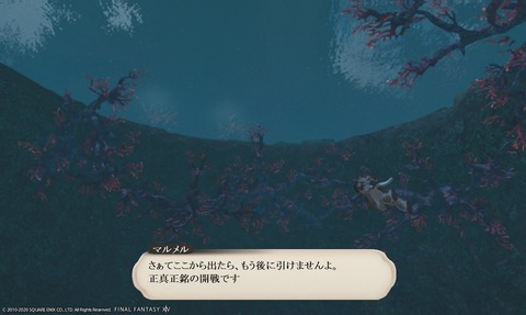 ffxiv_20200505_153640_740