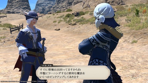 ffxiv_20190119_195628_090